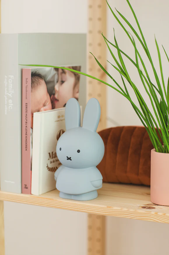 Miniatuur 3