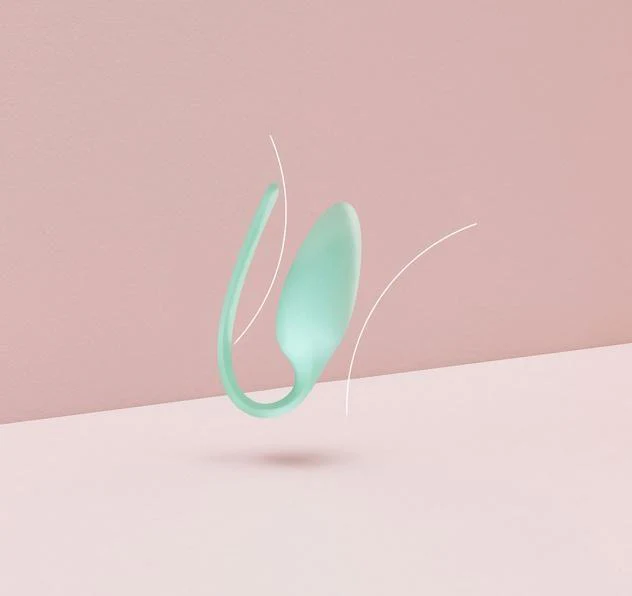 Miniatuur 5