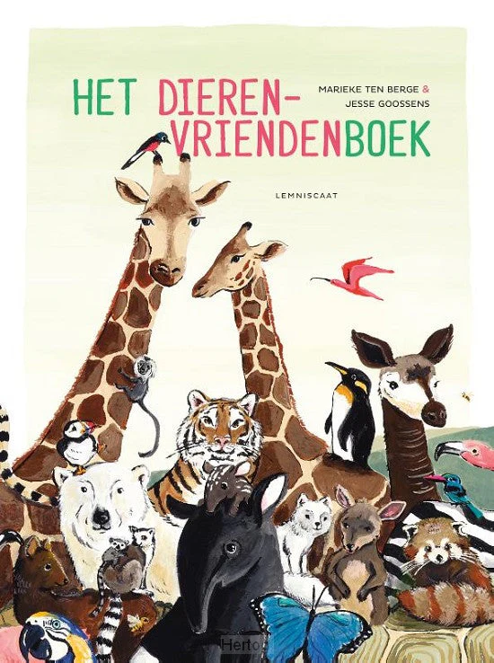 Productafbeelding 1