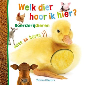 Productafbeelding 1