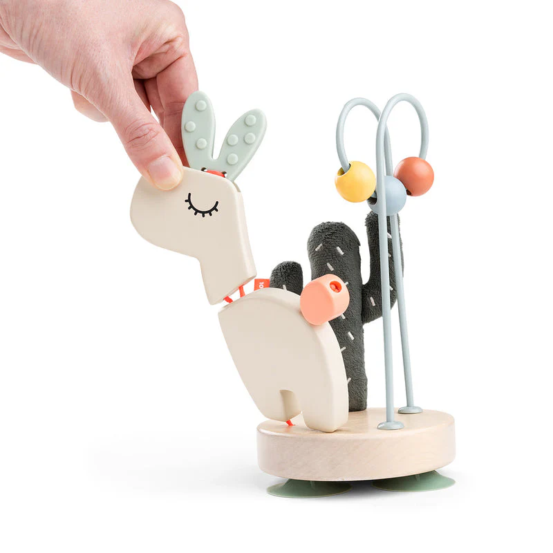 Miniatuur 4