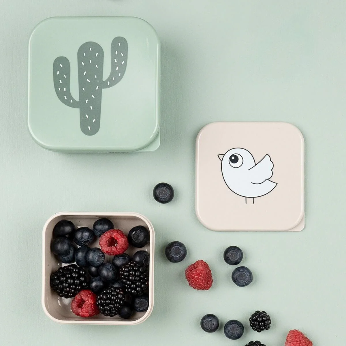 Miniatuur 3