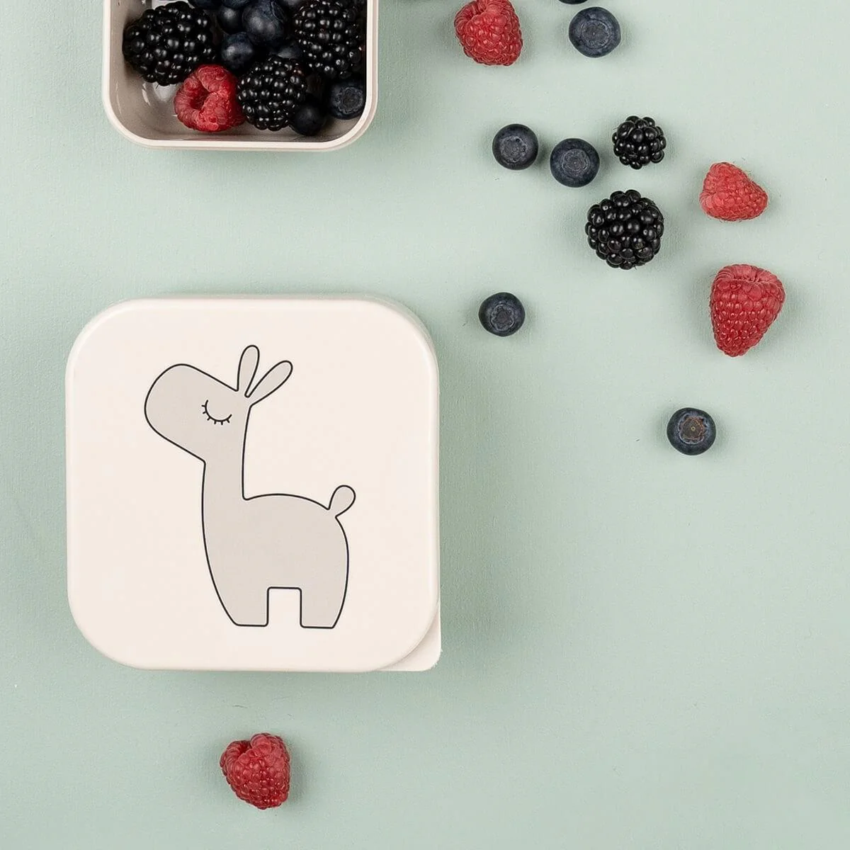 Miniatuur 4