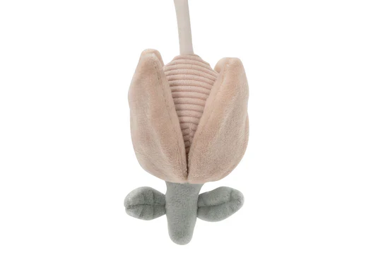 Miniatuur 3