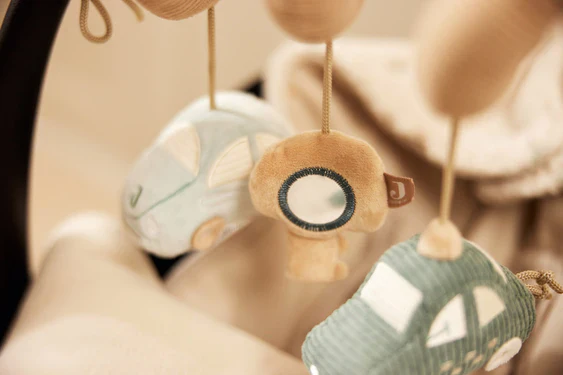 Miniatuur 5