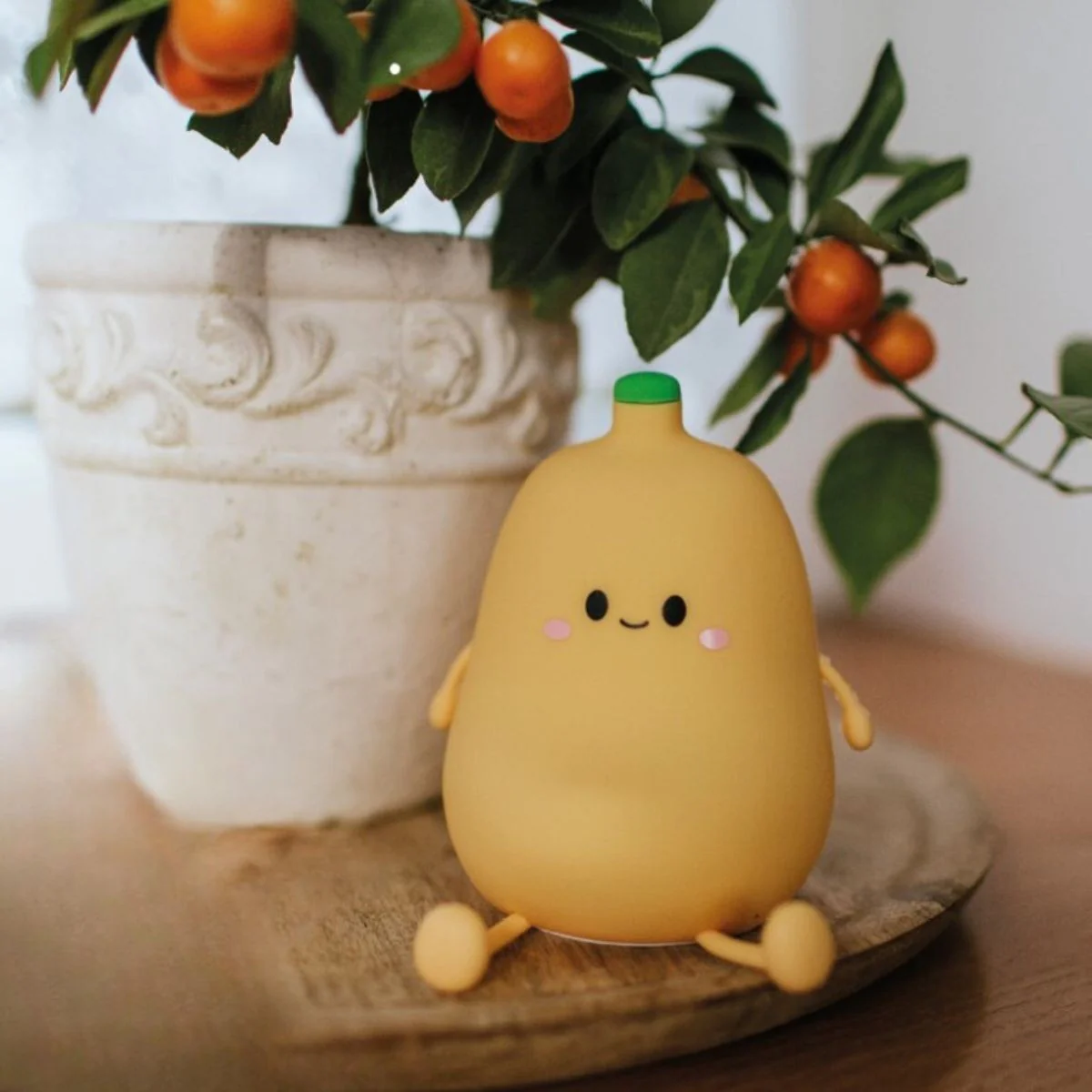 Miniatuur 4