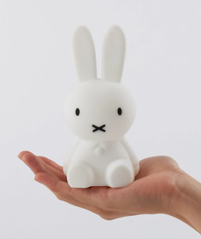 Miniatuur 2