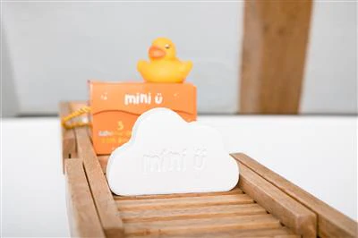 Miniatuur 3