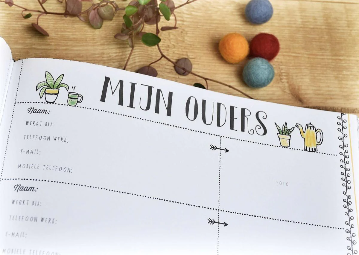 Miniatuur 3