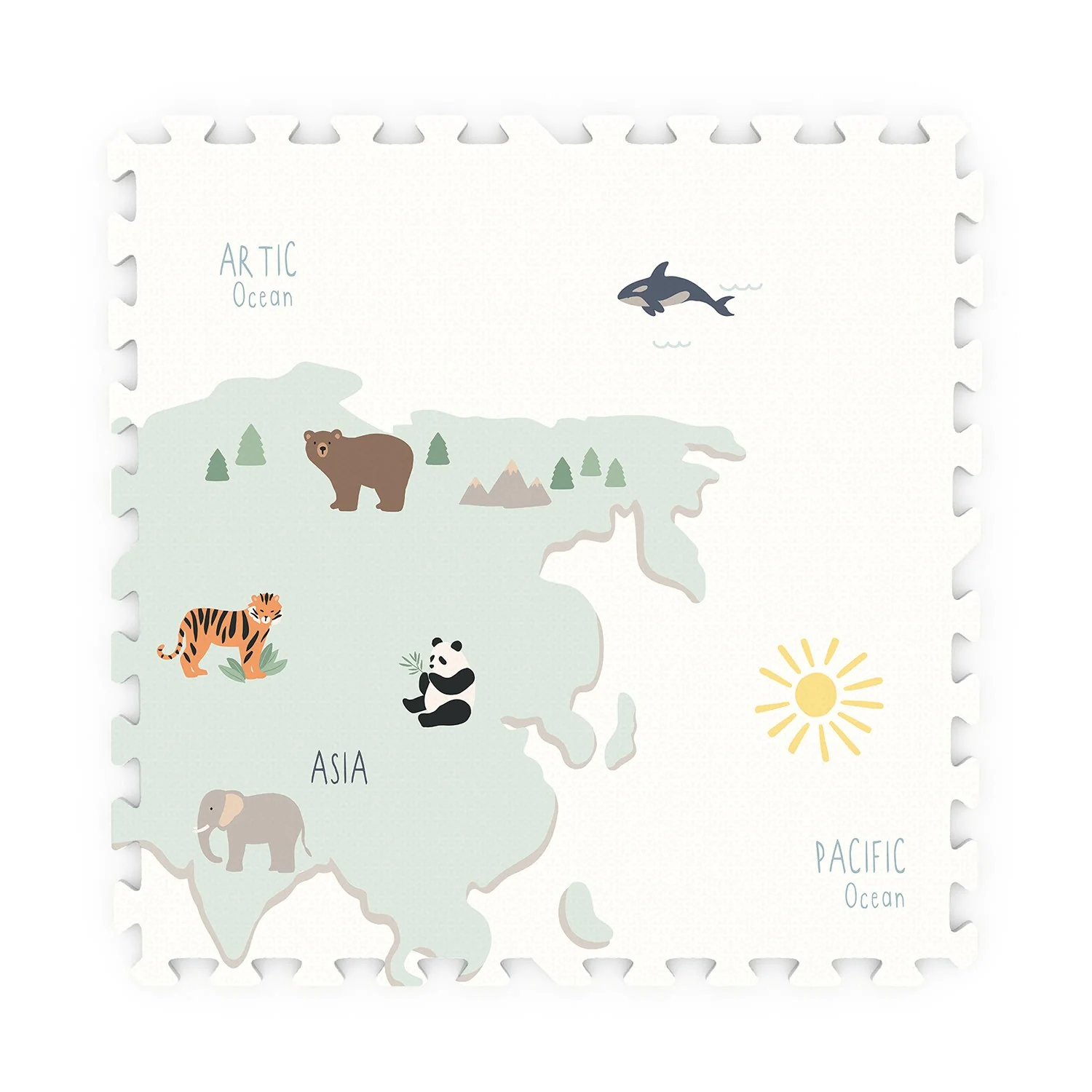 Miniatuur 5