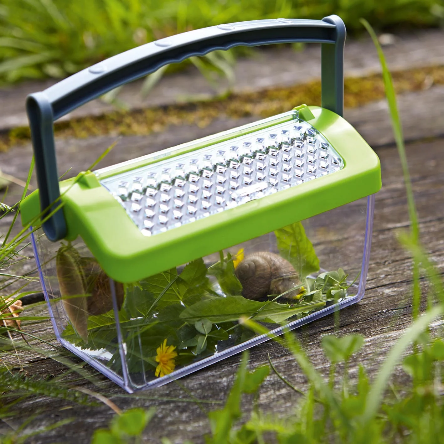 Miniatuur 3