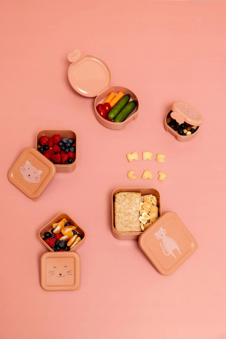 Miniatuur 7