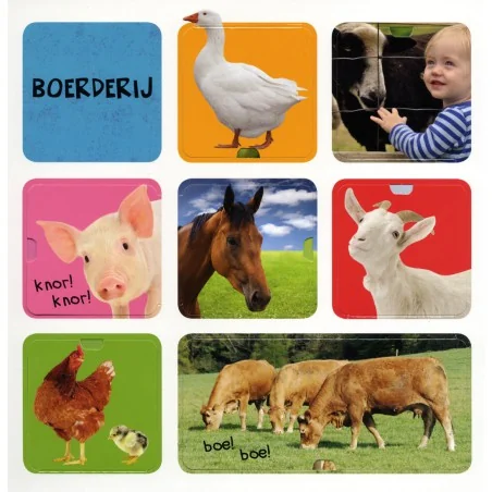 Miniatuur 2