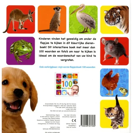 Miniatuur 4