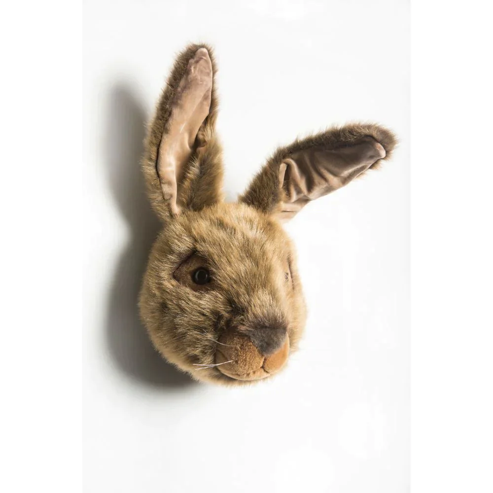Miniatuur 2