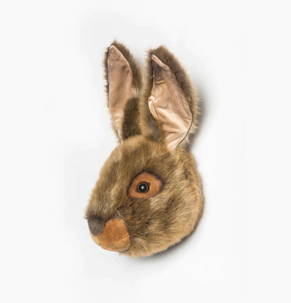 Miniatuur 3