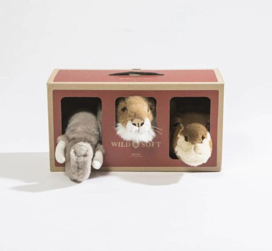 Miniatuur 3