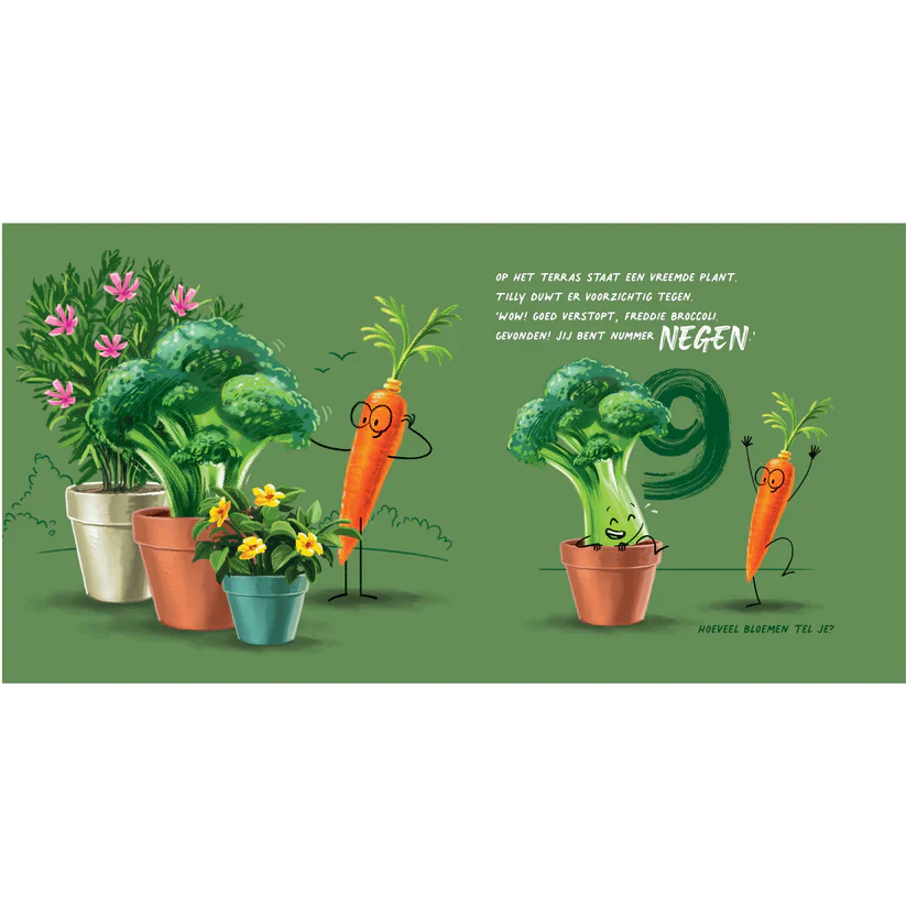 Miniatuur 4