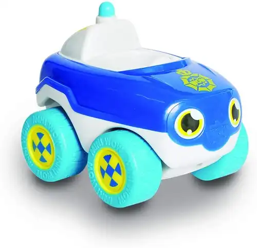 Miniatuur 2
